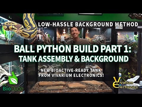 Bioactive Ball Python Build Pt. 1: Tank Assembly & Background