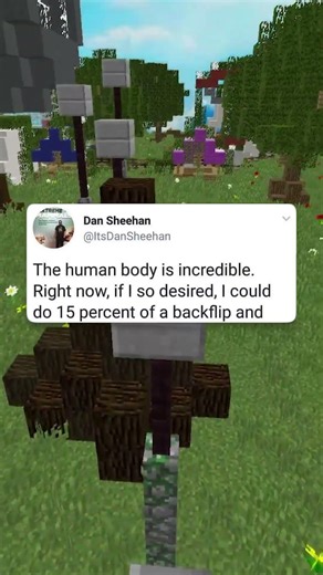 15% of a backflip💀