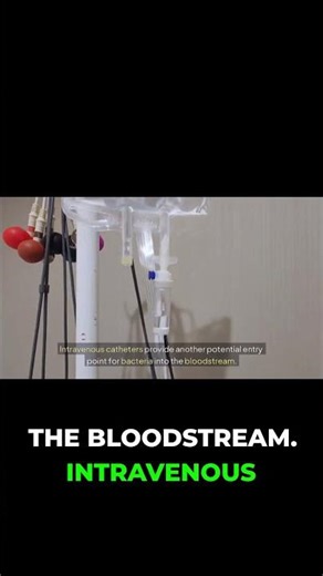 Hospital Hazards: How Superbugs Invade Patients!