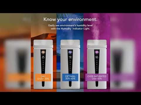 Review: Vornado MISTIC 8 Whole Room Ultrasonic Humidifier, Top-Fill, Aromatherapy, 2-Gallon Ta...