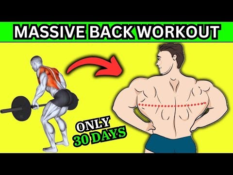 The Best Back Workout at Gym