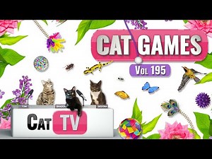CAT Games | Ultimate Cat TV Compilation Vol 195 | 8 HOURS 🐝🐞🦋🦎🦜🐜🐭🧵