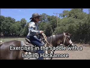 Loping Hackamore - Bitless Bridle Exercises for control (Part 2)