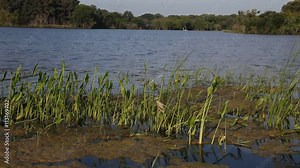 Black Creek Lake in the LBJ Grasslands in Decatur Texas.