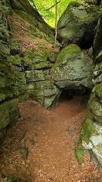 A Hidden Path Through Mullerthal 🌿 | Luxembourg