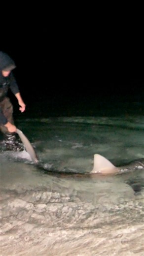 This fish RIPPED line! #Epicfishing #Floridaman | Coastal WorldWide