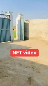 8.5K reactions · 267 shares | nft update #NFT | Zaheer Abbas | Facebook