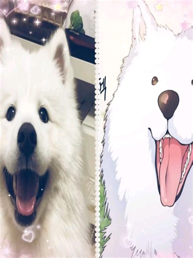 Exciting Reveal of My Samoyed in Adopt Me