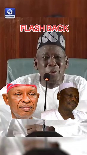 Analyzing Government Accountability and Due Process