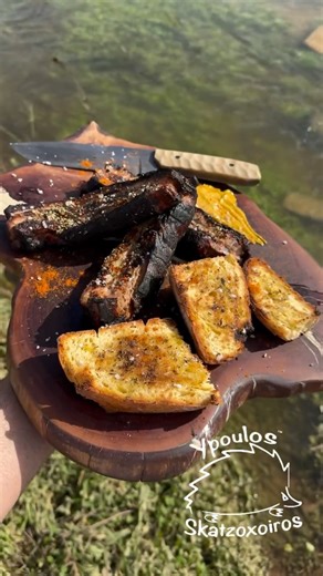 Ύπουλος_Σκατζόχοιρος™️ • Live Fire Experiences on Instagram: "ΠΑΝΣΕΤΑ 🥓 στα ΚΑΡΒΟΥΝΑ 🔥 με καψαλισμένο ΨΩΜΙ 🥯 δίπλα στο νερό! 👉ΔΕΣ ΤΗ ΒΟΥΚΟΛΙΚΗ ΑΠΛΟΤΗΤΑ👇 Το νερό τρέχει στο ρυθμό του 💧. Η φύση καταπράσινη, σαν χαλί απλωμένο 🌿 Μια ΠΑΝΣΕΤΑ 🥓 ολόκληρη. Με το λίπος της ✨. Πλούσια. Λαχταριστή. Φωτιά και ΠΑΡΑΔΟΣΙΑΚΑ ΞΥΛΟΚΑΡΒΟΥΝΑ 🔥 @biocarbon_gr . Ανάβουν γρήγορα ⏱️ και κρατάνε . Χωρίς σπίθες, χωρίς αναφλέξεις 🚫. Σταθερή θερμοκρασία για το χοιρινό 🐖. Λίγος φλοιός από δέντρο 🌳. Γιατί δεν αποχ