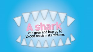 Weird But True: Fish