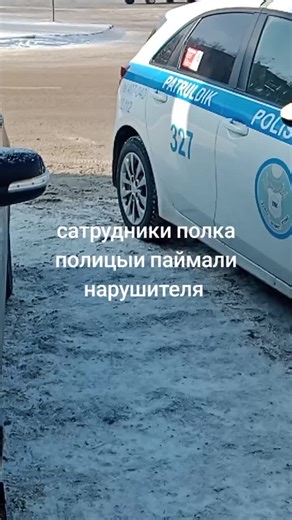 тигар (@vladalik2)’s video of police pull over lieutenant