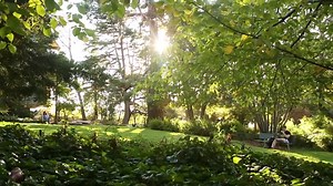 9.8K views · 332 reactions | Explore CCA in one minute and 42 seconds. | California College of the Arts | Facebook