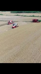 Innovative agricultural technologies have been transforming the way Chinese farmers are planting crops, resulting in more efficient and less labor-intensive practices. | CCTV