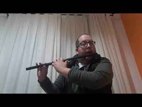 Rafael Andres Aguilar Walker Tocando Correctamente La Flauta Travesera Flauta Transversal Musico Art