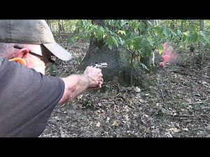 Colt King Cobra 22LR Woods Walk