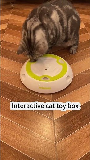 Interactive cat toy box #cat #bestpetsupplies #pets