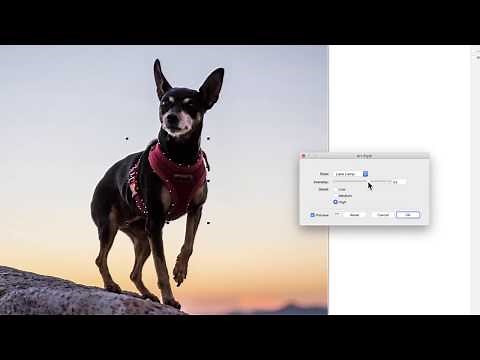 Bitmap Effects on Lens | CorelDRAW for Mac