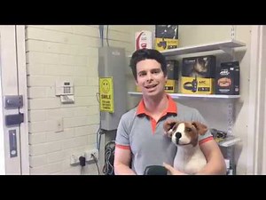 GOODLIFE DOG SILENCER ™ ULTRASONIC BARK CONTROL SYSTEM - eDog Australia