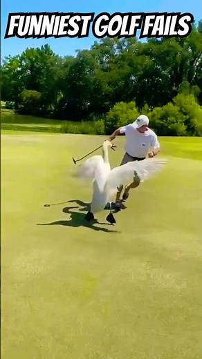 Funniest Golf Fails Caught on Camera! 😂⛳ #funny