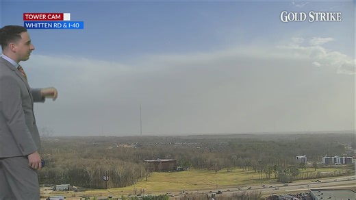 WREG Memphis Weather Friday Early Evening