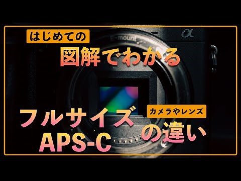 【初心者カメラ講座】図解でわかるセンサーサイズで変わる５つの違いフルサイズで出来ることAPSーCで出来ること