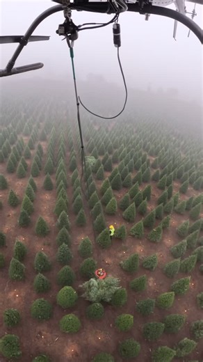 Clay on Instagram: "Harvesting Christmas Trees - - - - - - #looksvfrtome #helicopter #helicopterpilot #pilot #externalload #Christmas #christmastree #harvesting #slining #turnandburn #fall #winter #awesome #bell #bellhelicopter #oh58 #getoutthereandbesomebody #helicopterpilotlifestyle #fyp #hashtag"