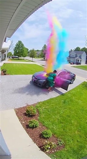 Luxury Look Porch Thief — Package Explodes Sky-High 💥