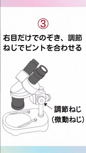 [Junior High School Science] Binocular Stereo Microscope Procedure #Shorts