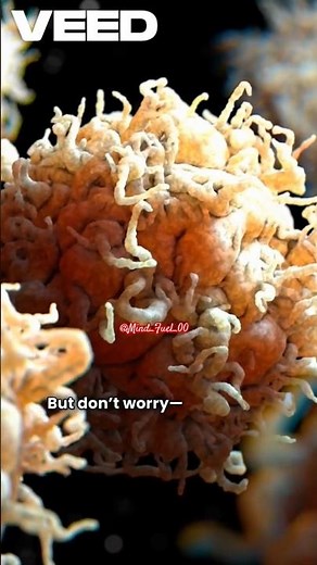 White Blood Cells vs Germs 🦠⚔️ | The Body’s Soldiers Explained in 60s