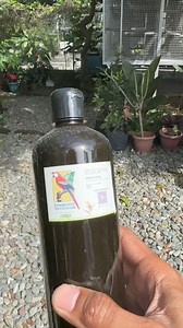 our small birds consultant Cma Aviary visits Myko’Aviary🦜 | Myko's Aviary