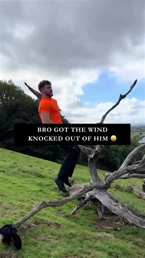 Tree lunges #josenotjuan #laughing #funny | lunges