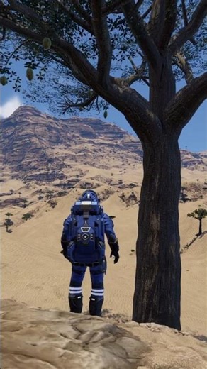 Verdure’s Desert Cacti 🌵