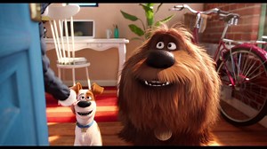 Party's at your house! Your pet's invited the whole gang. Keep an eye on your furry family (and their friends) with XFINITY Home. #XFINITYHomePets | Xfinity