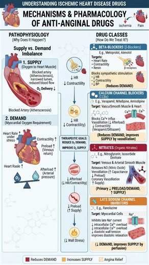 Ultimate Guide to Anti-Anginal Pharmacology #AntiAnginalDrugs #Pharmacology #Pharmaclarity