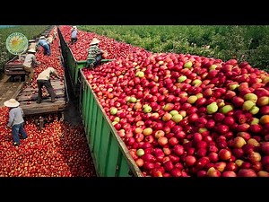 The Power of Modern Agriculture - How Modern Machines Gather Millions of Tons of Crops