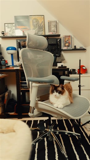 2.4K views · 20 reactions | When your cat becomes the main character  AI Tracking on the Hohem iSteady V3 Ultra — always keeping up with those paws. ✨ #hohem #iSteadyV3Ultra #Gimbal #catvlog | Hohem | Facebook