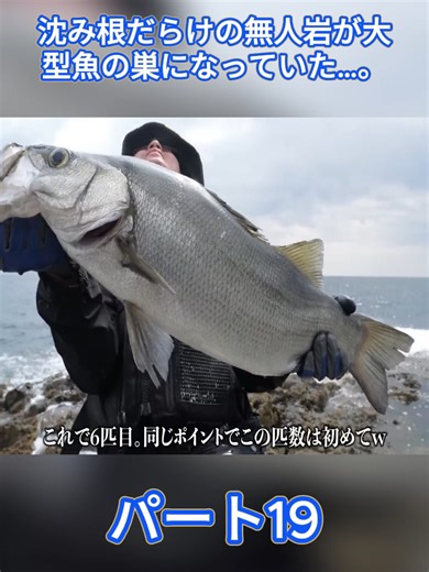 沈み根だらけの無人岩が大型魚の巣になっていた…。