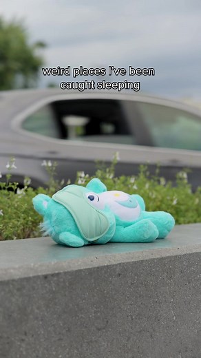 Sleeping Anywhere Anytime Anyplace — Care Bears Nap Tips