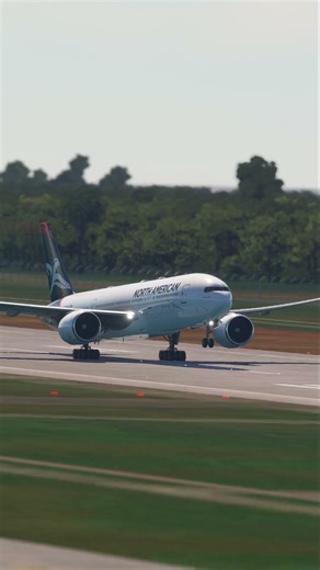 the pilot's actions endangered the plane's passengers EP373