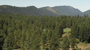 The Vista Collection encompasses a limited number of homesites that...