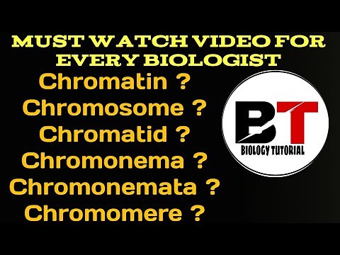 Chromatin, chromosome, chromatid, chromonema, chromonemata,chromomere
