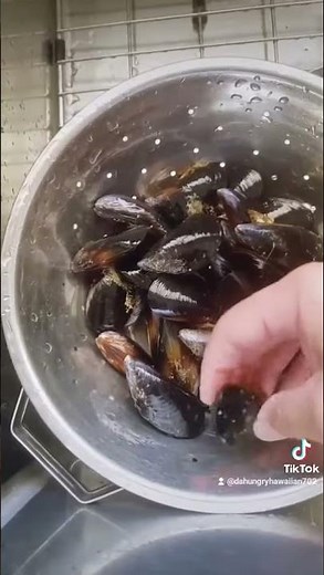 HOW TO PROPERLY CLEAN AND DEBEARD LIVE MUSSELS