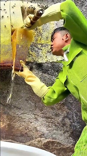 How Honey Is Made Step by Step😲