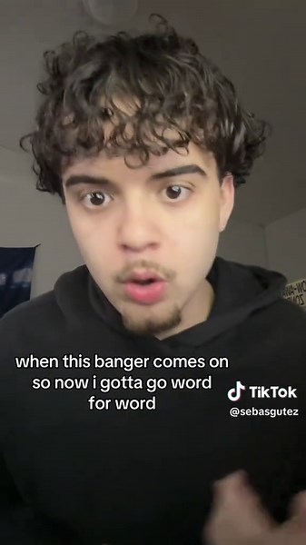 THIS VERSE IS TOO GOOD 🗣️ #drake #hotlingbling #views #verse #music #song #viral #trend #fyp #sebasgutez @drakerelated_