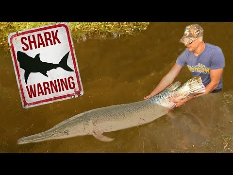 Catching MONSTER Fish for my Aquarium