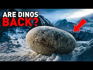 Dinosaurs in Antarctica? The Mystery of the Dino Egg Discovery