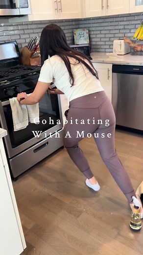 Deep Cleaning Behind Your Stove - Mouse Encounter Revealed!