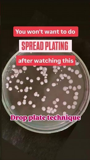 Drop plate method #microbiology #bacteria #research #researcher #biotechnology