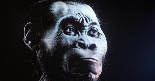 Homo naledi: The first being to master fire